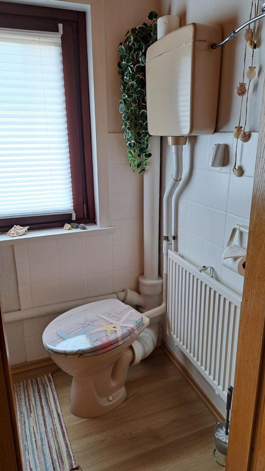 Ferienwohnung Friedrichsruh Braunlage Dış mekan fotoğraf