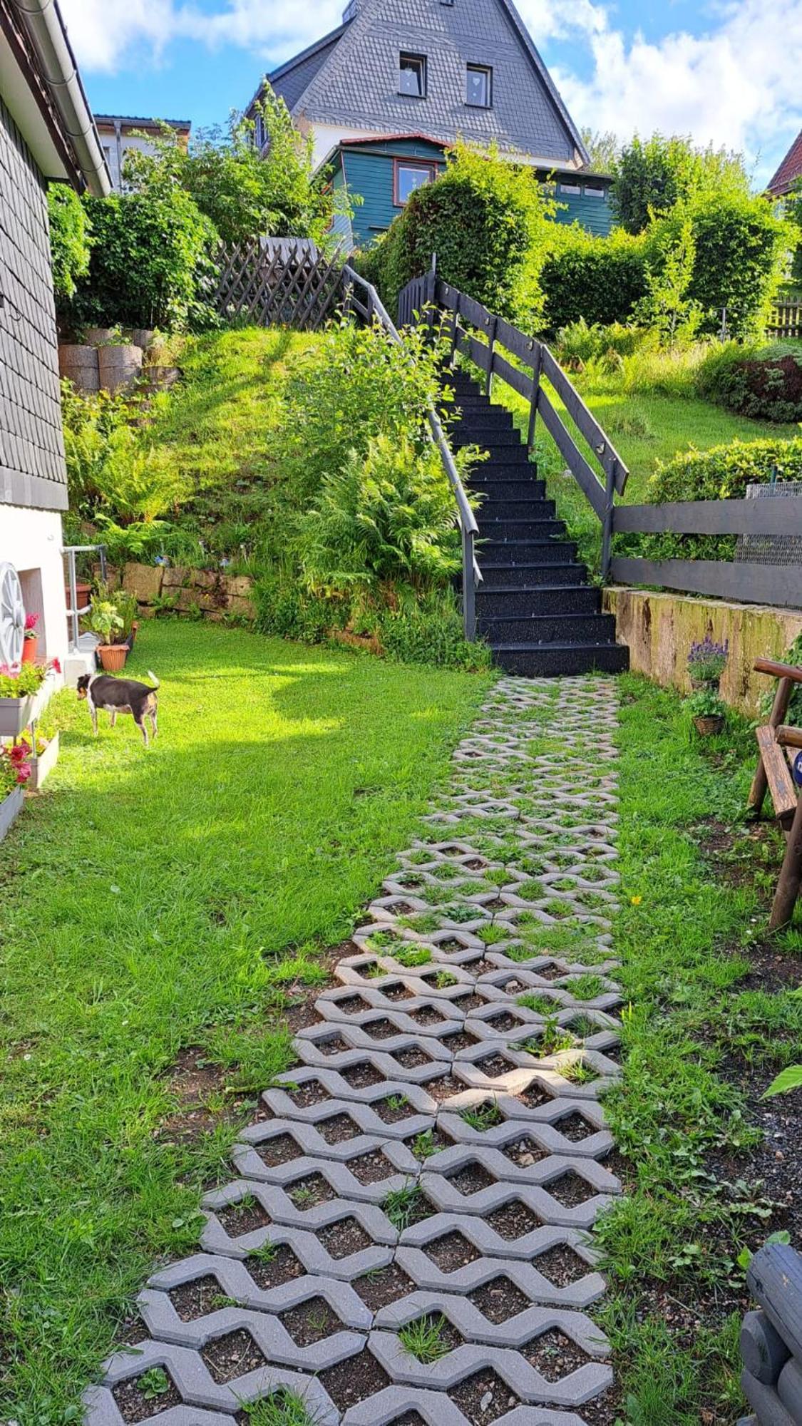 Ferienwohnung Friedrichsruh Braunlage Dış mekan fotoğraf