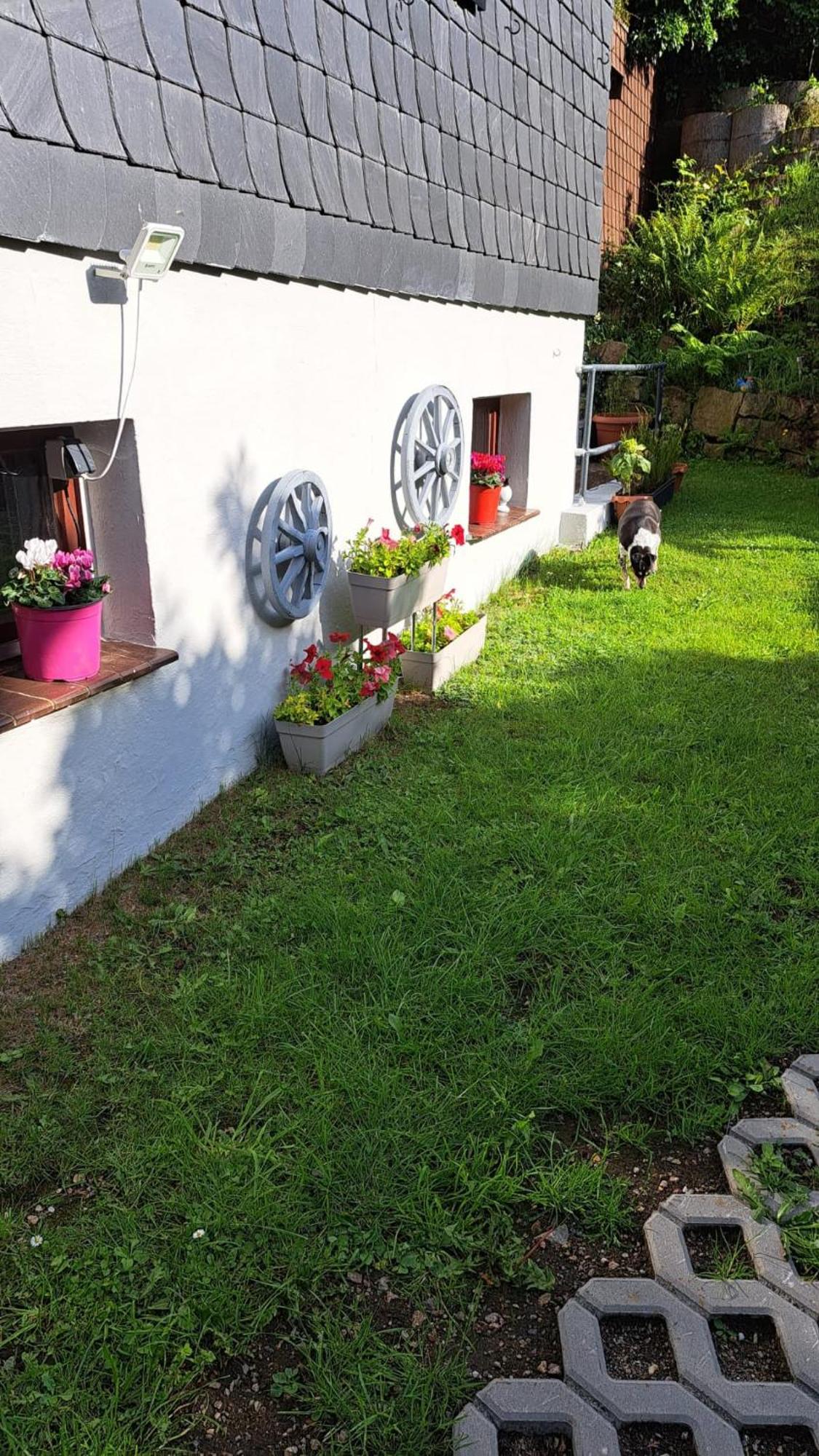 Ferienwohnung Friedrichsruh Braunlage Dış mekan fotoğraf